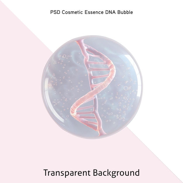 PSD molecule dna inside bubble on transparent background cosmetics skincare or human skin treatment