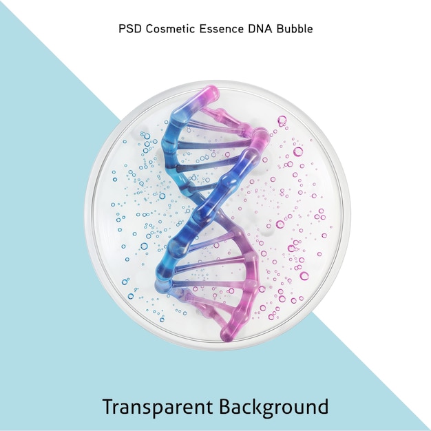 PSD molecule dna inside bubbles on transparent background cosmetics skincare or human skin treatment