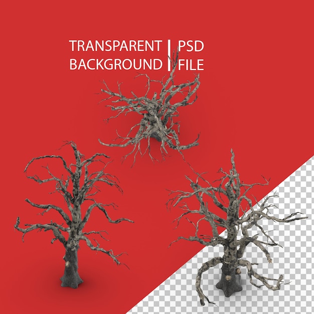 PSD old dead tree png