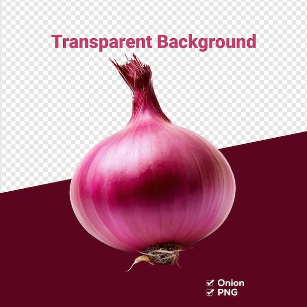 Organic Onion CloseUp transparent background PNG