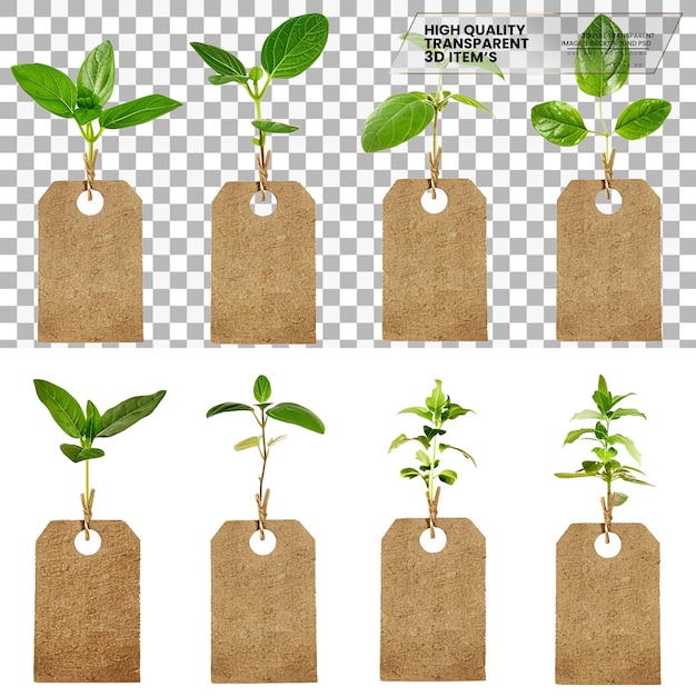 Plant Labels Labels Used for Identifying Plants on Transparent Background