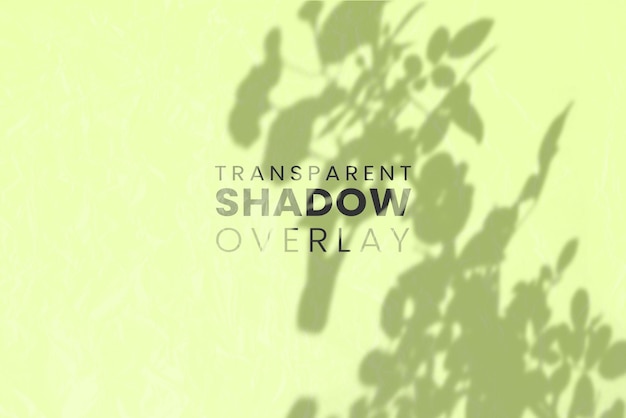 PSD plant leaf shadow overlay template in transparent