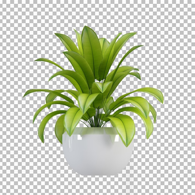 Plant in pot in 3d rendering isolated