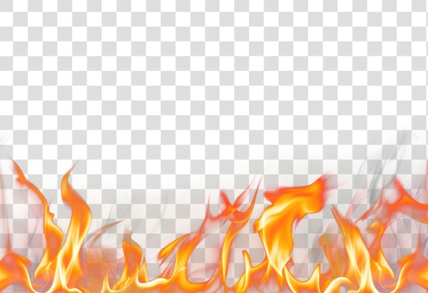 PSD png photo of a flame border bonfire