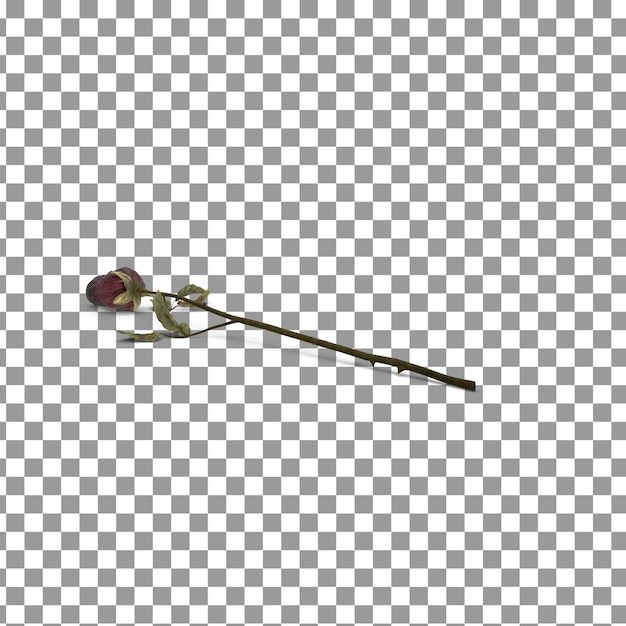 PSD psd 3d dead rose icon on isolated and transparent background