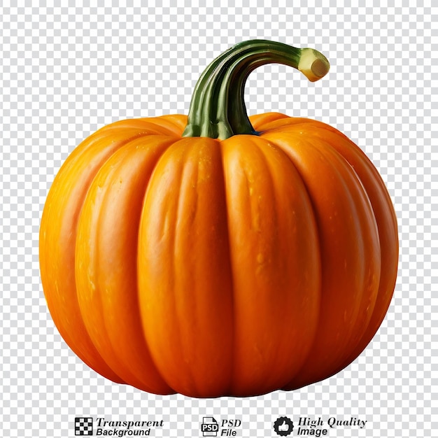 pumpkin isolated on transparent background