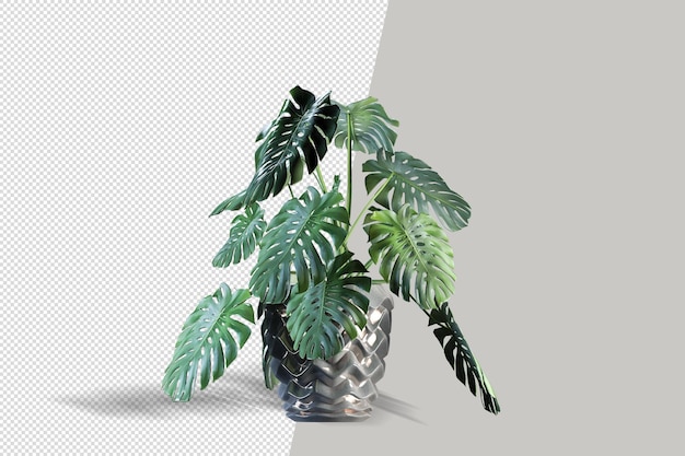 Render of isolated plant in pot isolated