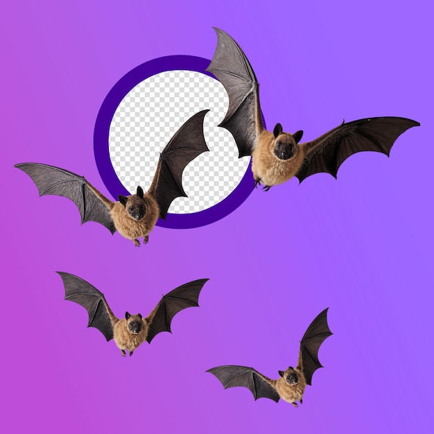 PSD a series of bats that are in a circle with a purple background