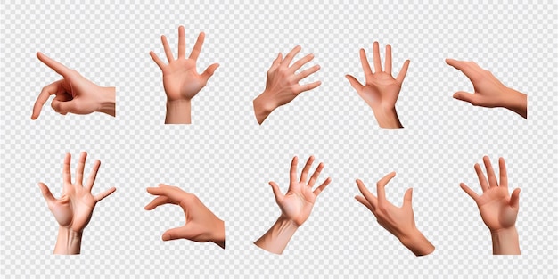 a set of human hand with different gestures on transparent background