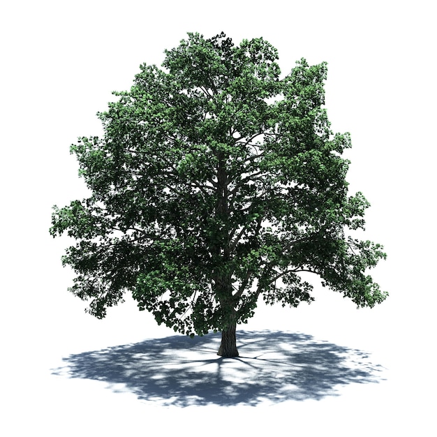 Standalone Tree