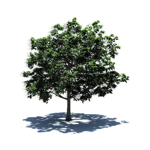 Standalone Tree