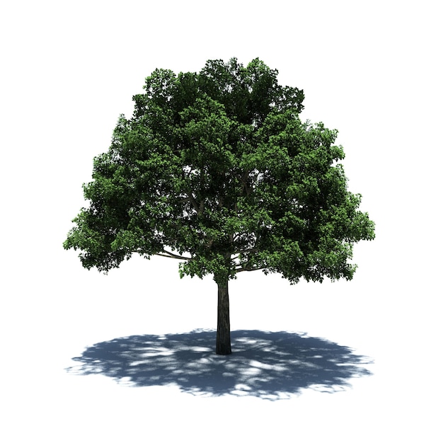 Standalone Tree