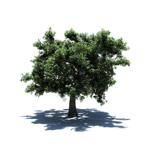 Standalone Tree