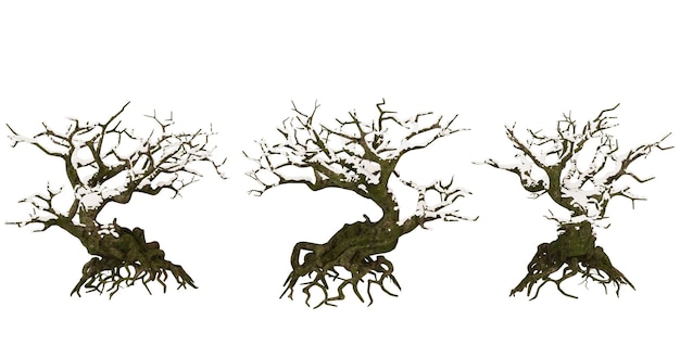 PSD three bonsai trees with glowing branches isolated on a black background