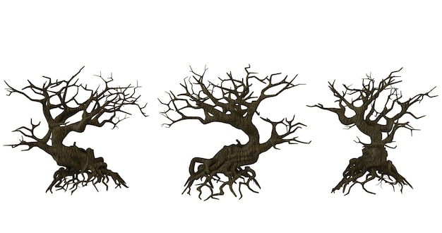 PSD three gnarled dead trees on a black background halloween spooky haunted forest deadwood horror fantasy