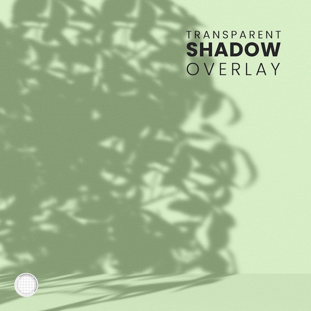 PSD transparent plant leaf shadow overlay template