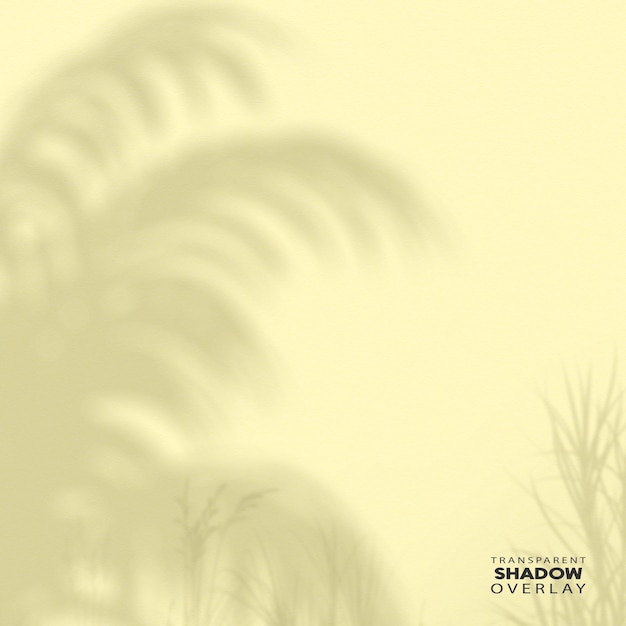 PSD transparent window shadow overlay template