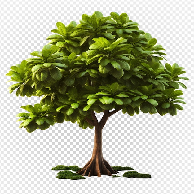 tree isolated on transparent background 3d render illustration of tropical trees generative ai