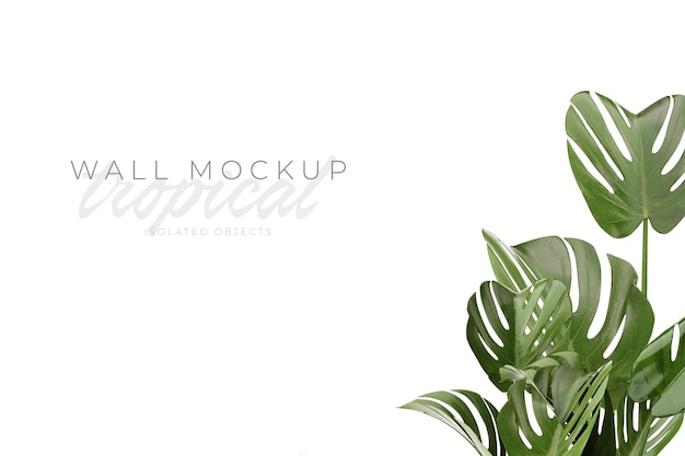 Tropical and Summer background Mockup