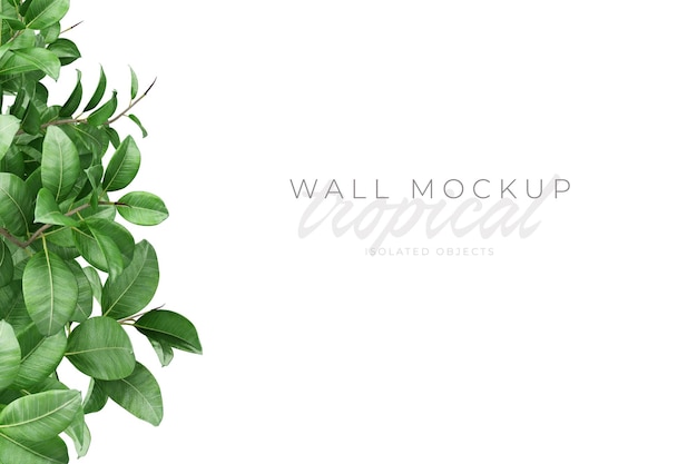 Tropical and Summer background Mockup