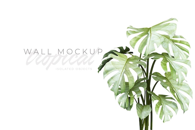 Tropical and Summer background Mockup