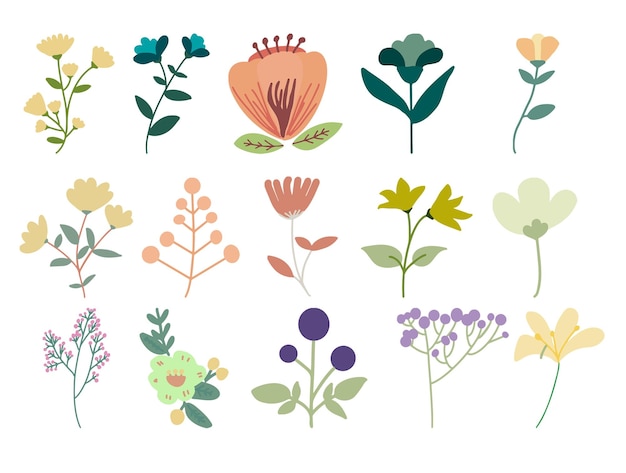 PSD various collection of flower and leaves element psd template