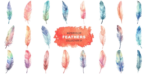 PSD watercolor painted style feathers clipart isolated on transparent background