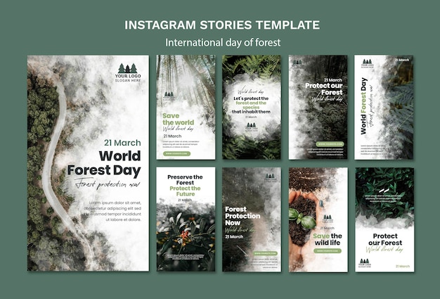 World forest day instagram stories template