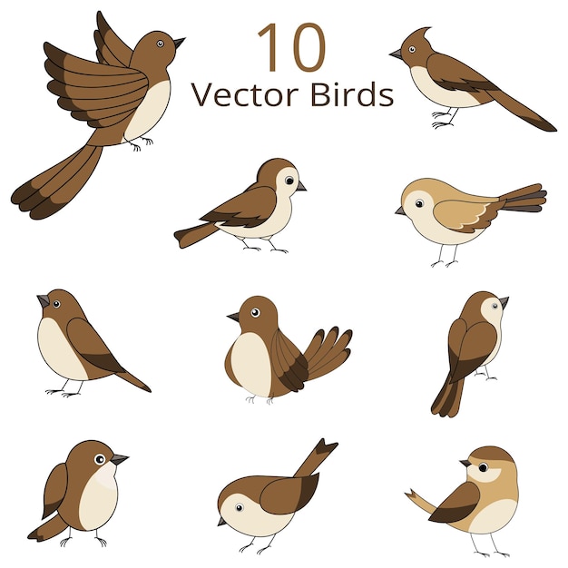 Vector 10 vector vogels set deze collectie bevat tien nauwkeurig gemaakte vogel illustraties