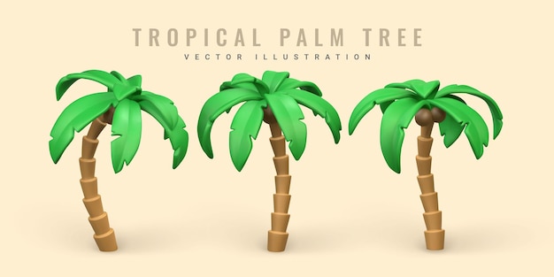 3D Cute cartoon tropical palm tree Realistic jungle tree on white background Summertime object Vector illustration