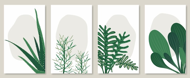 Abstract botanical wall art set Vector illustration in scandinavian design