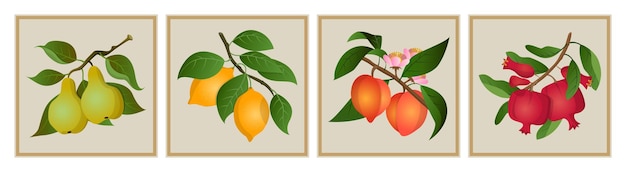 Abstract fruit posters Plant branches Pomegranate or lemon Natural leaves and flowers Pear or peach Organic food Orange harvest Vintage nature cards set Vector current illustration