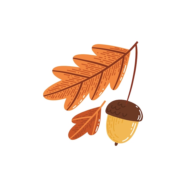 Acorn with autumn leaves vector stylized illustration