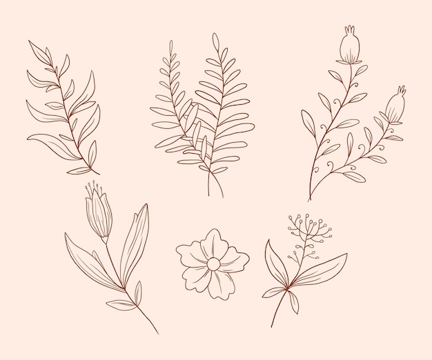 aesthetics hand drawn floral line art vector collections