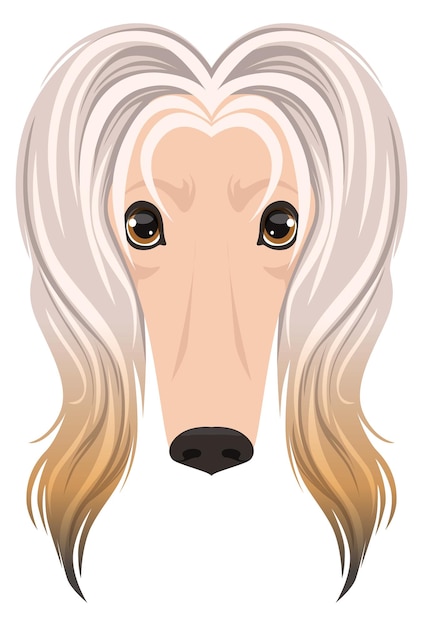 Afghan hound face icon Cartoon dog head