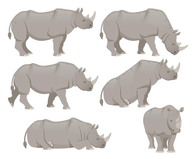 Vector african rhinoceros set different poses animal design