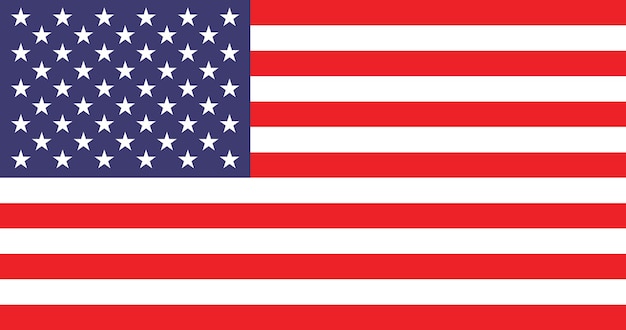 Vector america flag