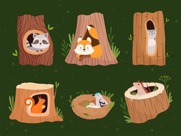 Animals hollow. Wood forest trees with holes for wild animals houses vector cartoon collection. Wildlife raccoon and squirrel, bird nest home illustration