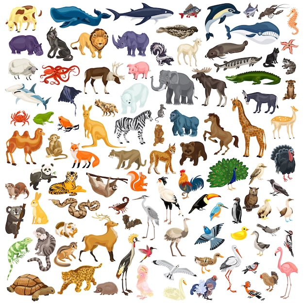 Animals icon set