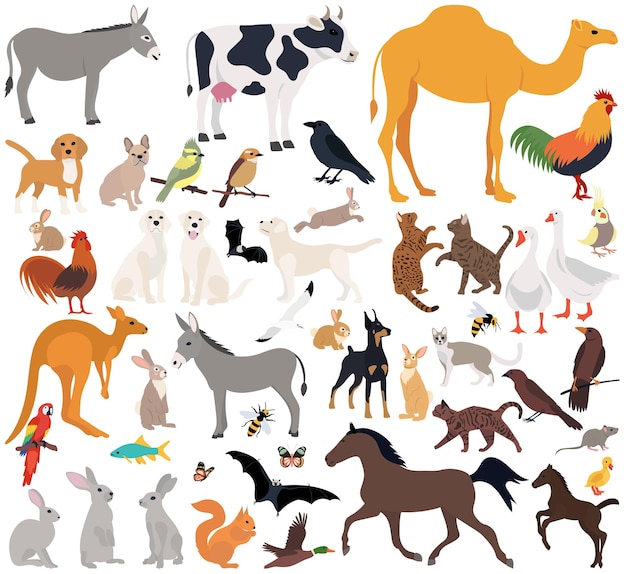 Animals set in flat design isolated vector