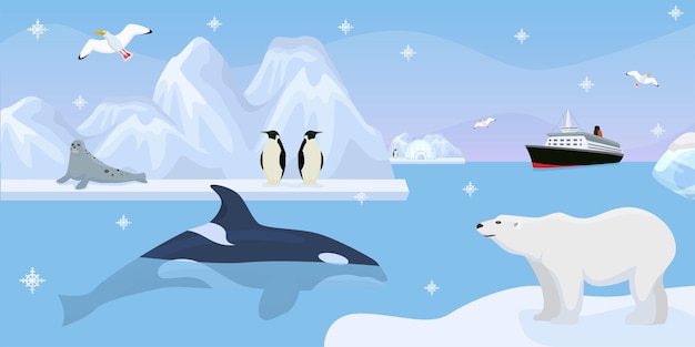 Vector antarctica beautiful wildlife vector illustration cute penguins seal on iceberg whale in blue ocean