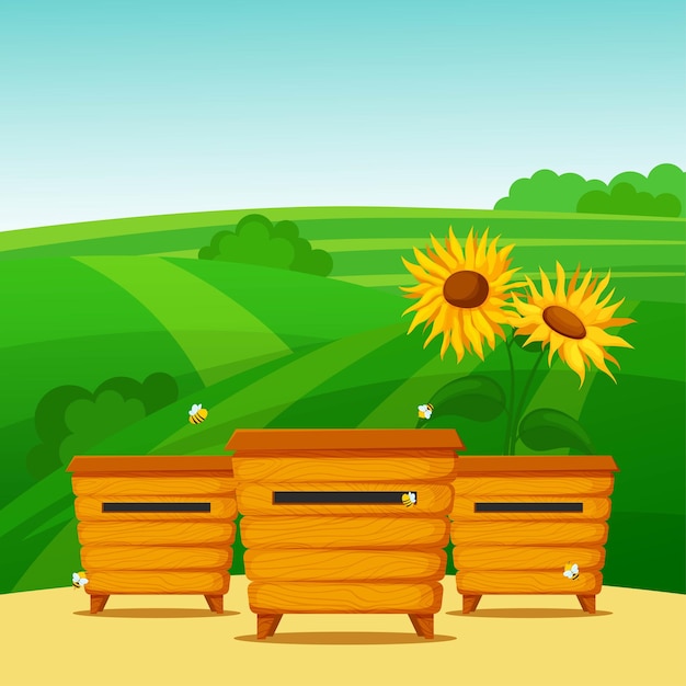 Apiary on the background of meadows with sunflowers. Cartoon beehives with bees on green background