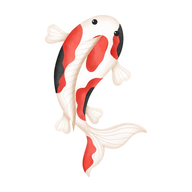 Vector aquarel van cute koi fish geïsoleerd op witte achtergrond japanse cultuur vector illustratie