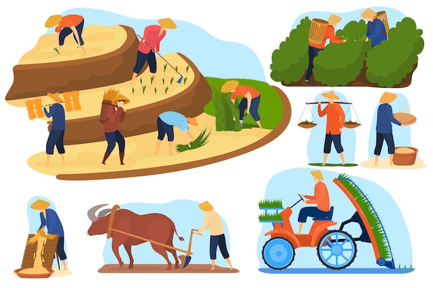 Asian farm rice fields vector illustration set, cartoon flat farmer people work on terraced agricultural rice plantations