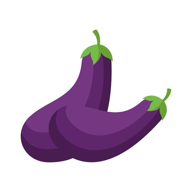 Aubergine Flat design vector illustration isolated on a white background