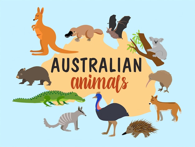 Vector australian animals.