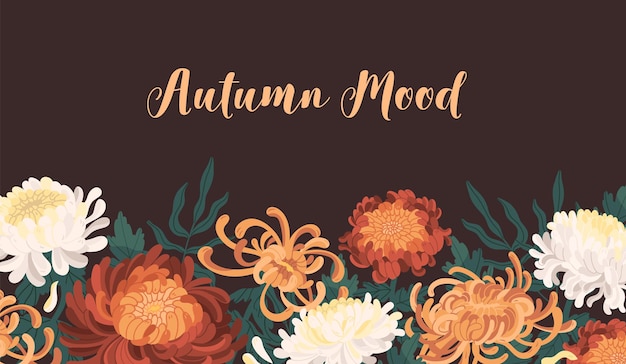 Vector autumn backdrop with blooming flowers. fall horizontal background with japanese chrysanthemum. banner with fall floral blossom plants. vector illustration in flat cartoon style.