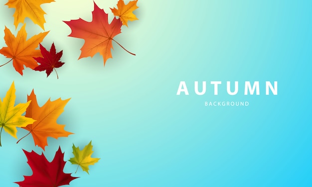 Autumn background poster design for sale decorated with colorful leaves