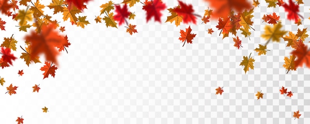 Vector autumn falling leaves background