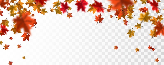 Autumn falling leaves background